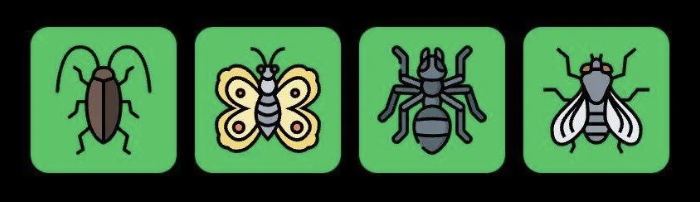 FLIES Daily Combo 31 May 2025
